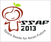 SSAF2013